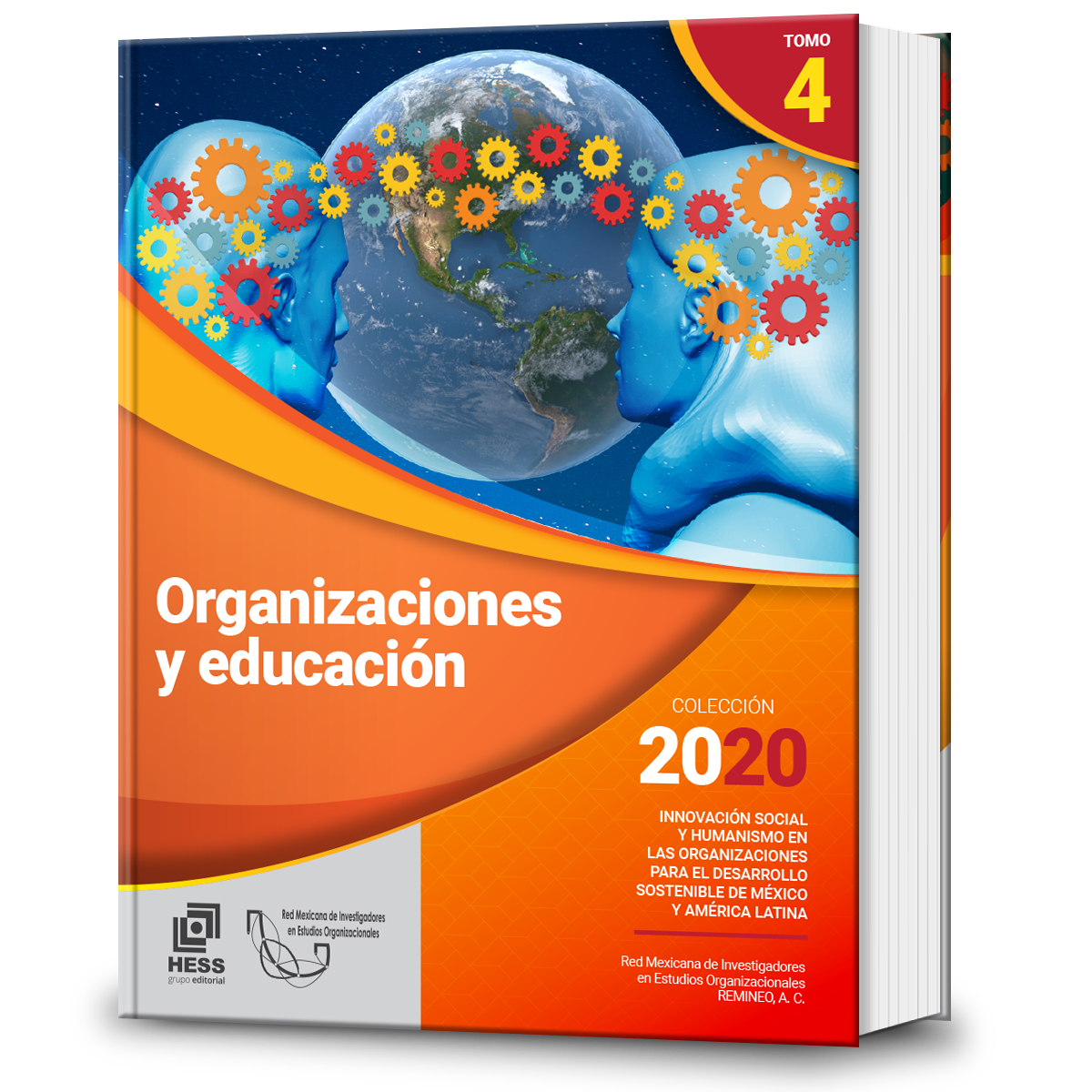 Organizaciones y educación